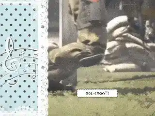 An edit by Tiktok user: soldatist